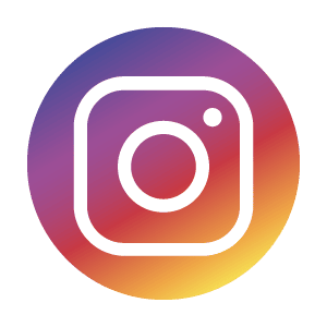 Social Icon Instagram